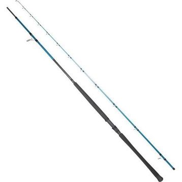 Ryuji Shore Game Fuji KW 295 cm 30-100 gr Jig Kamış