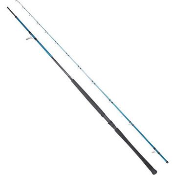 Ryuji Shore Game Fuji KW 295 cm 30-100 gr Jig Kamış