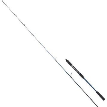 Ryuji Strobe 198 cm 20-80 gr Jig Kamış