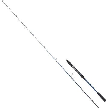 Ryuji Strobe 198 cm 20-80 gr Jig Kamış