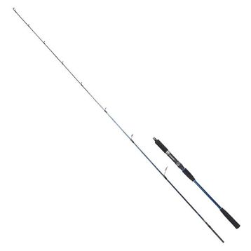 Ryuji Strobe 198 cm 20-80 gr Jig Kamış
