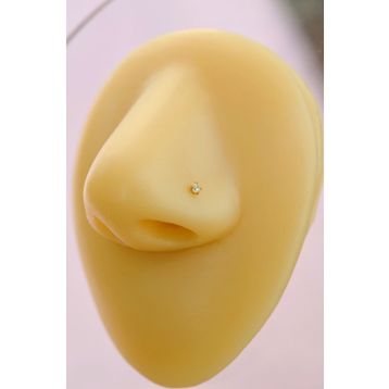 Sacce Scarves&Accessories BPQTV369 316 L Çelik 2 mm Tektaş Hızma Burun Gold Piercing