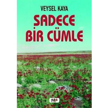 Sadece Bir Cümle - Veysel Kaya