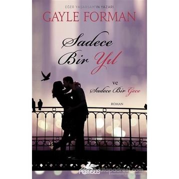 Sadece Bir Yıl ve Sadece Bir Gece - Gayle Forman