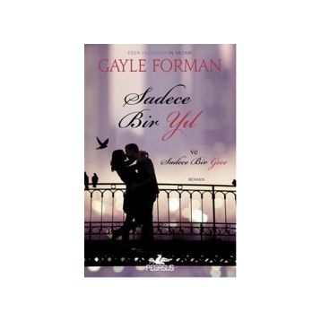 Sadece Bir Yıl ve Sadece Bir Gece - Gayle Forman