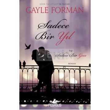 Sadece Bir Yıl ve Sadece Bir Gece - Gayle Forman