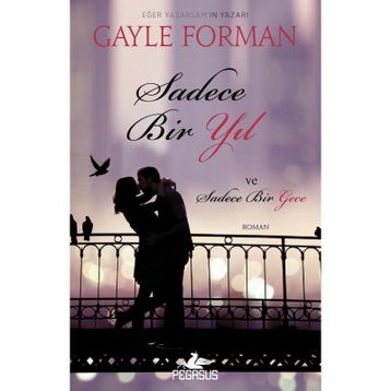 Sadece Bir Yıl ve Sadece Bir Gece - Gayle Forman