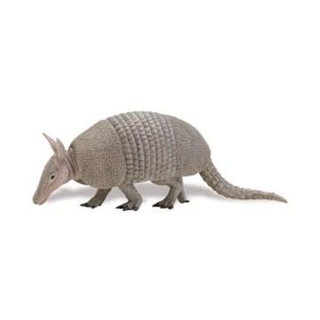 SAFARİ ARMADILLO