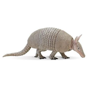 SAFARİ ARMADILLO