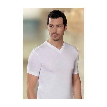 Şahinler E008 V Yaka Erkek Penye