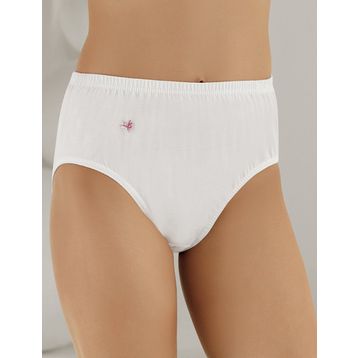 Şahinler MB018 6'lı Kadın Külot