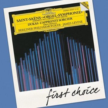 SAINT SAENS - MICHAEL STEGEMANN