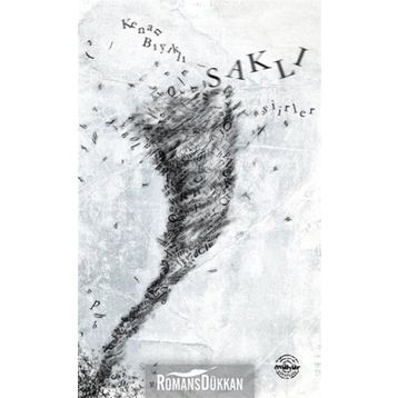 Saklı Şiirler - Kenan Bıyıklı