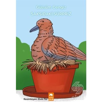 Saksıdaki Sürpriz - Gülsüm Cengiz