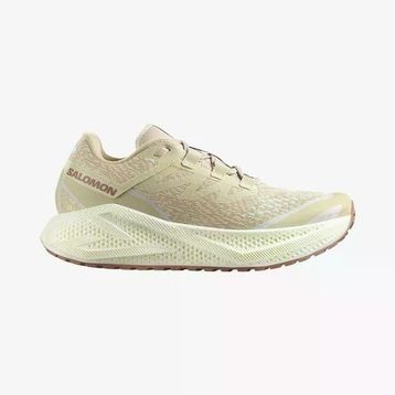 Salomon Aero Glide 3 Grvl Erkek Koşu Ayakkabısı