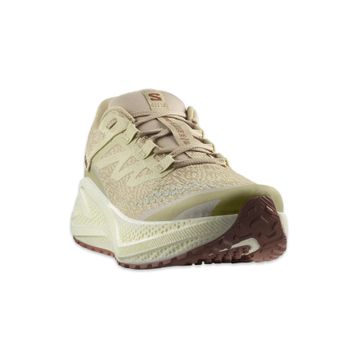 Salomon Aero Glide 3 Grvl Erkek Koşu Ayakkabısı