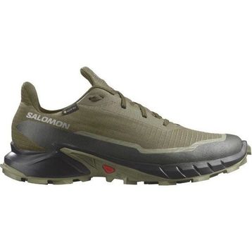 Salomon Alphacross 5 Gore-Tex Renkli Erkek Patika Koşu Ayakkabısı