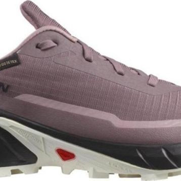 Salomon Alphacross 5 Gtx W Kadın Koşu Ayakkabısı