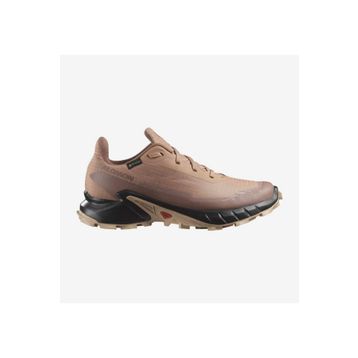 Salomon Alphacross 5 Gtx W Kadın Koşu Ayakkabısı