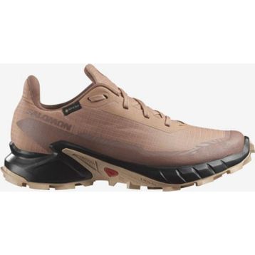 Salomon Alphacross 5 Gtx W Kadın Koşu Ayakkabısı