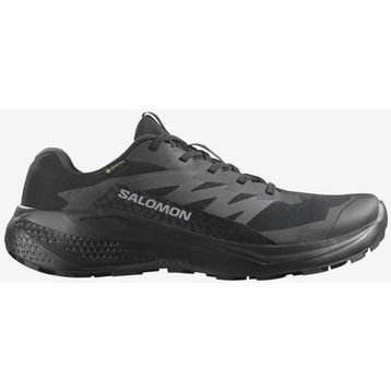Salomon Alphaglıde Gtx L478021 Siyah Erkek Koşu Ayakkabısı