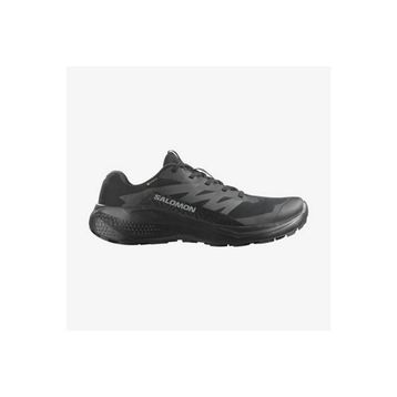Salomon Alphaglıde Gtx L478021 Siyah Erkek Koşu Ayakkabısı