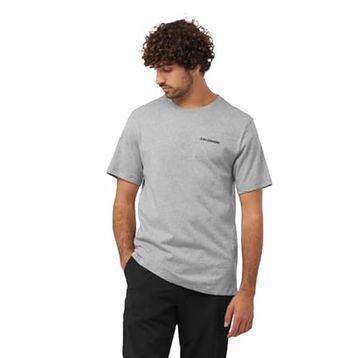 Salomon Graphic Perf SS Tee M Gri Erkek Koşu T-Shirt