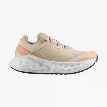 Salomon L47812500 Çok Renkli AERO GLIDE 3 GRVL W Kadın Koşu Ayakkabısı