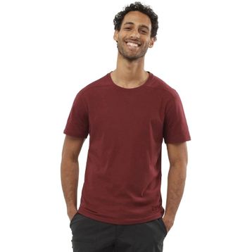Salomon LC1717500 Essential Solid Erkek Outdoor T-shirt