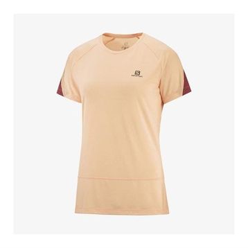Salomon LC1729200 Cross Run Ss Tee W Kadın T-shirt