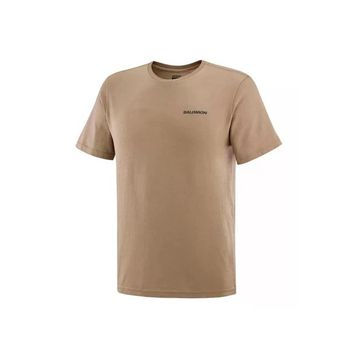 Salomon Lc2247200 Graphic Perf Ss Tee M Erkek Tişört