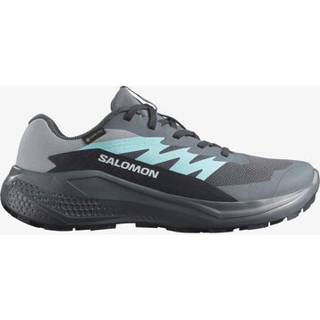 Salomon Turbulence L47802500 Gri Alphaglıde Gore-Tex Kadın Koşu Ayakkabısı