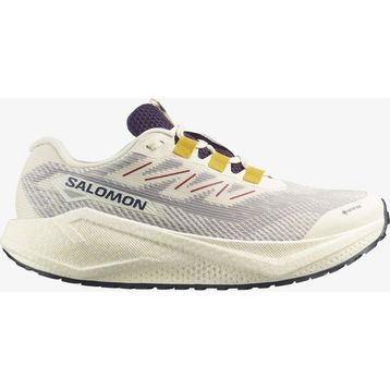 Salomon Vanilla Ice L47953200 Krem Aero Blaze 3 Grvl Gore-Tex Erkek Koşu Ayakkabısı