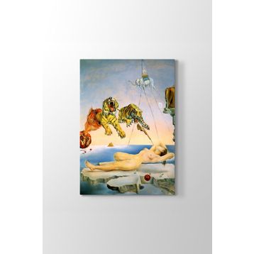 Salvador Dali - Dream Caused Tablosu