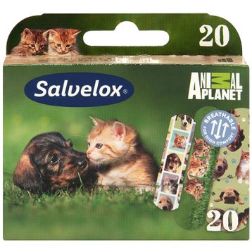 Salvelox 20'li Hayvanlar Alemi Yara Bandı