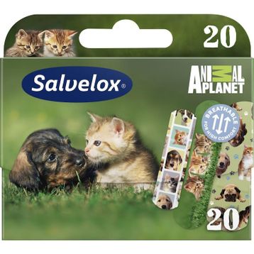 Salvelox Animal Planet 20'li Suya Dayanıklı Çocuk Yara Bandı