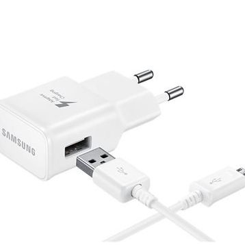 Samsung TA-20 EP-TA20EWEUGWW Micro USB Şarj Cihazı
