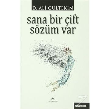 Sana Bir Çift Sözüm Var - Ali Gürtekin