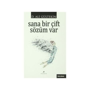 Sana Bir Çift Sözüm Var - Ali Gürtekin