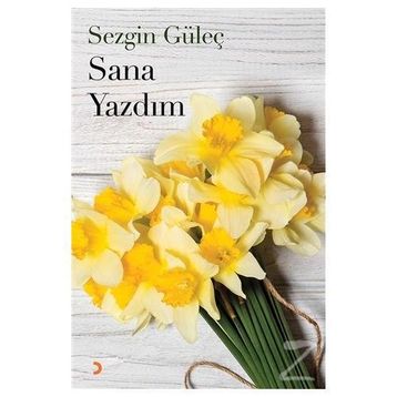Sana Yazdım - Sezgin Güle