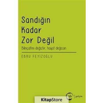 Sandığın Kadar Zor Değil - Ebru Feyizoğlu