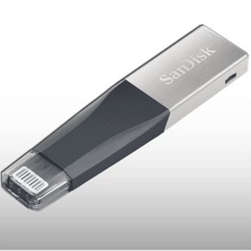 Sandisk SDIX40N-256G-GN6NE Flash Bellek