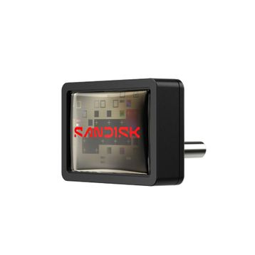 SanDisk Ultra Fit SDCZ530-256G-G46 256 GB Flash Bellek