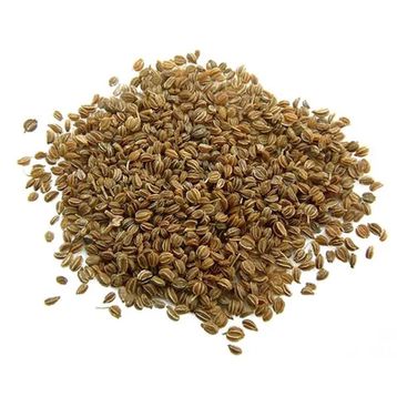 Sanita 1 kg Kereviz Tohumu