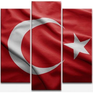 Şanlı Türk Bayrağımız Kanvas Tablo