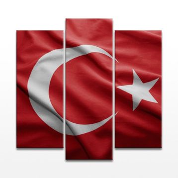 Şanlı Türk Bayrağımız Kanvas Tablo