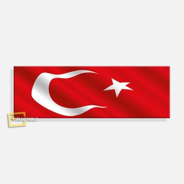 Şanlı Türk Bayrağımız Kanvas Tablo