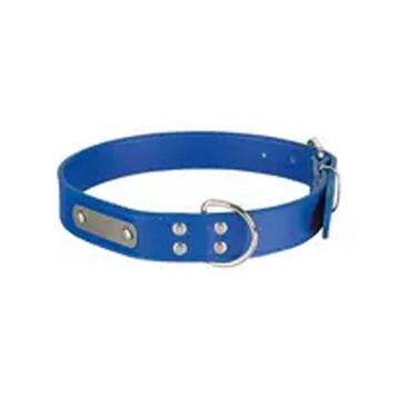 Sanlian 2,0 cm x 45 cm Köpekler İçin İsimlikli Boyun Tasması
