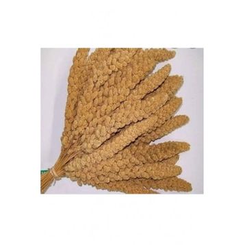 Sarı 250 gr Dal Darı