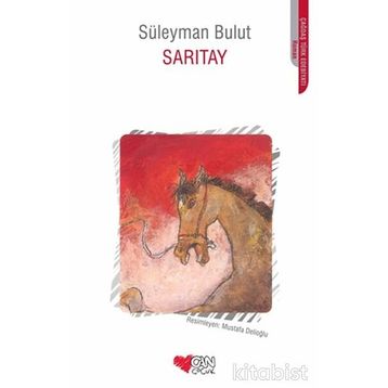 SARITAY - SÜLEYMAN BULUT